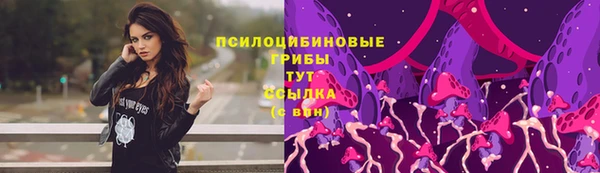 spice Сатка